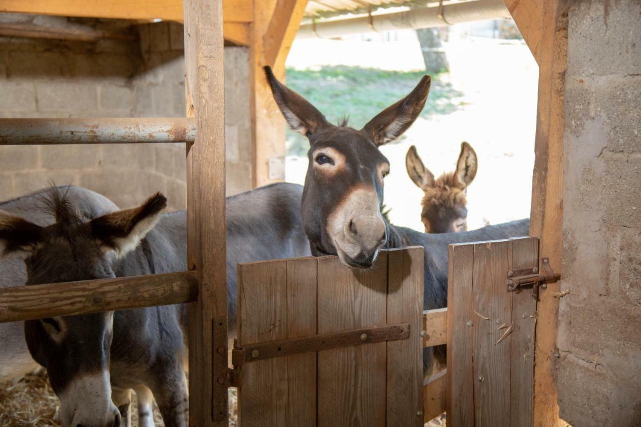 La Maison Du Bonheur "Le Gite" Saint-Ouen-sous-Bailly ภายนอก รูปภาพ
